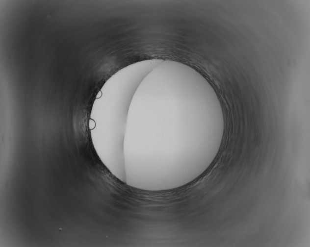 X0000086790336200705111820