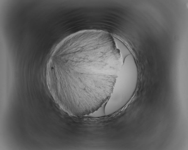 X0000086790337200705111819