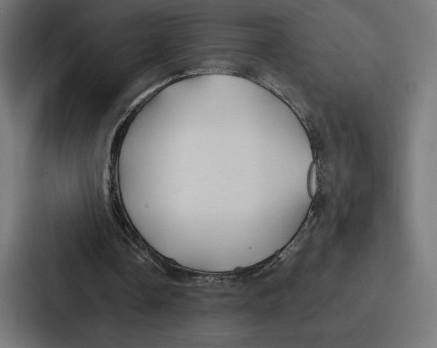 X0000086790338200705111819