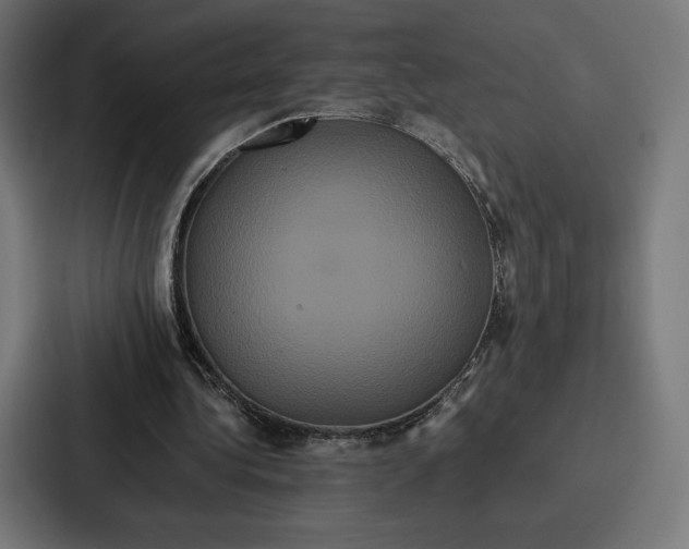 X0000086790340200705111819