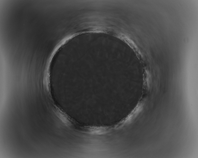 X0000086790342200705111819