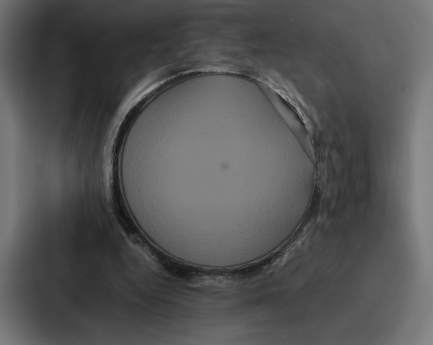 X0000086790344200705111820