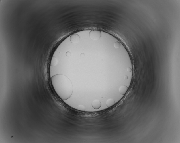 X0000086790345200705111820