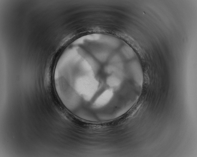 X0000086790347200705111820