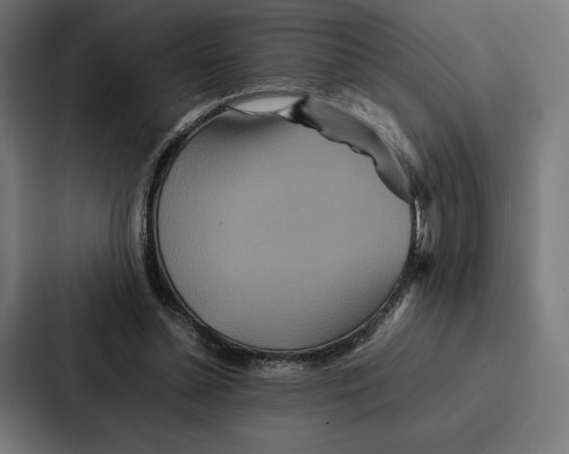 X0000086790348200705111820