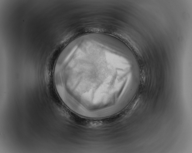 X0000086790355200705111820