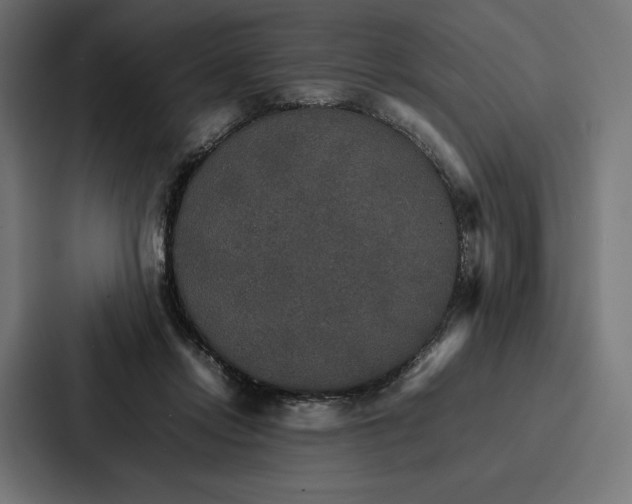 X0000086790358200705111820