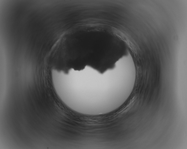 X0000086790359200705111820