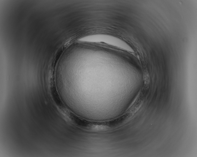 X0000086790360200705111820