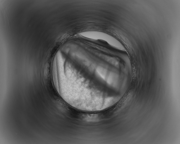 X0000086790361200705111820