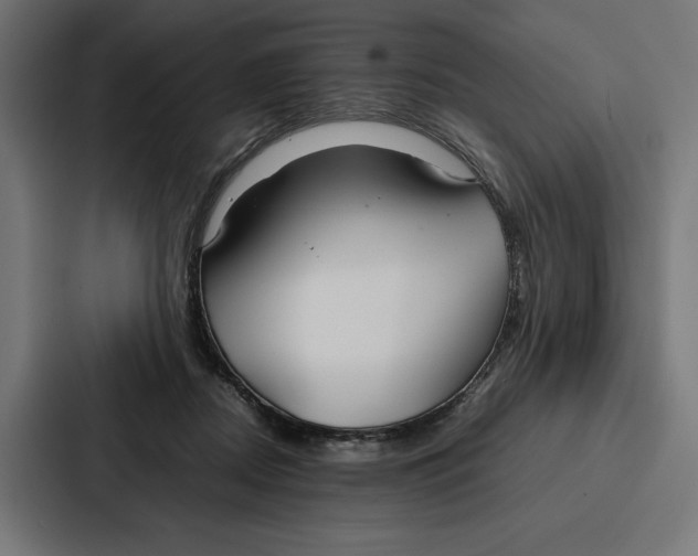 X0000086790362200705111820