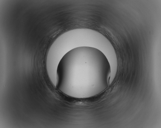 X0000086790364200705111820