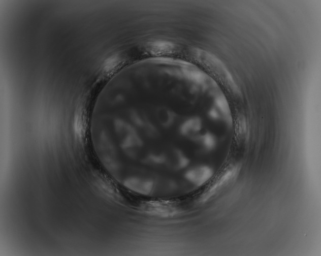 X0000086790367200705111820