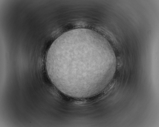 X0000086790369200705111820