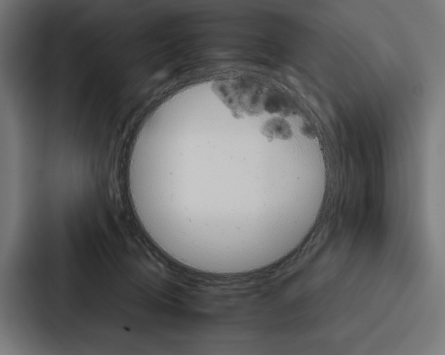 X0000086790370200705111820