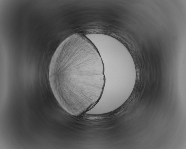 X0000086790371200705111820