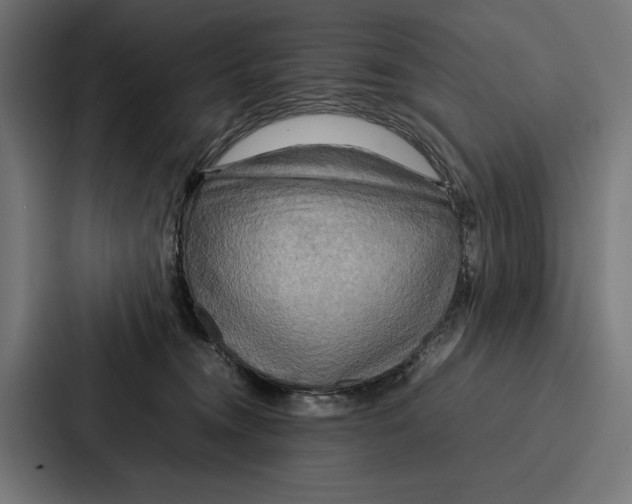 X0000086790372200705111820