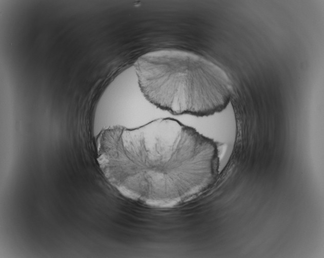 X0000086790373200705111820