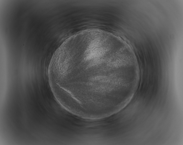 X0000086790375200705111820