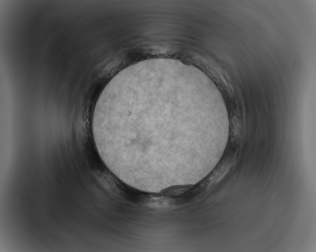 X0000086790376200705111820