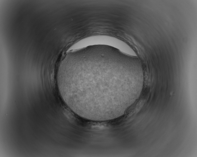 X0000086790377200705111820