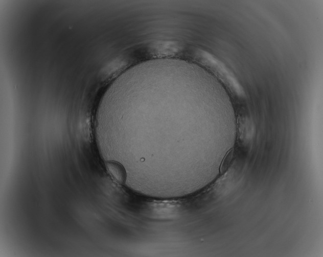 X0000086790378200705111820