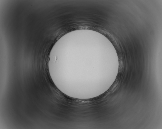 X0000086790379200705111820