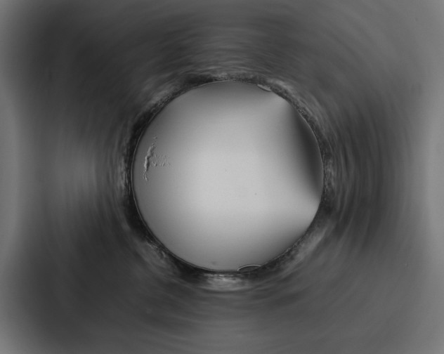 X0000086790380200705111820