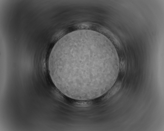 X0000086790381200705111820