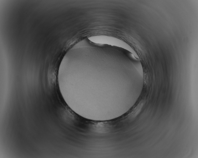 X0000086790382200705111820