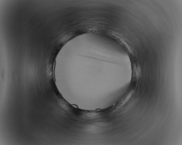 X0000086790383200705111820