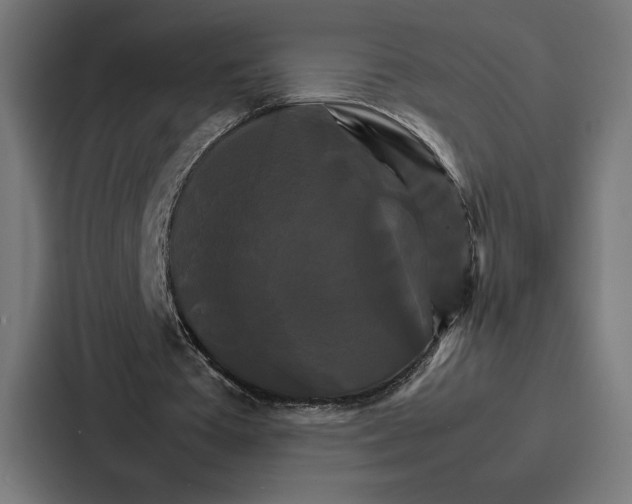 X0000086790385200705111819