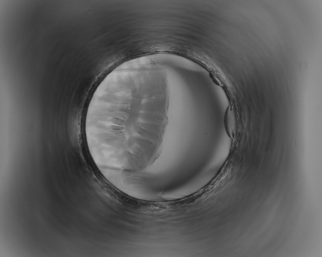 X0000086790386200705111819