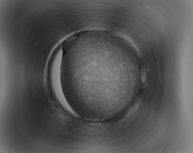 X0000086790388200705111819