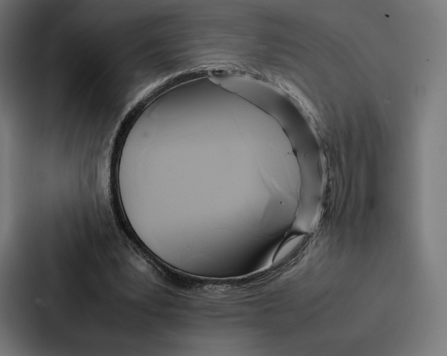 X0000086790391200705111819