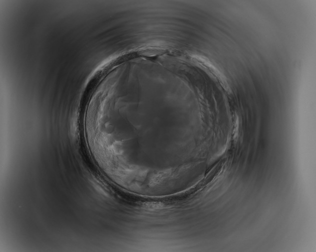 X0000086790392200705111819