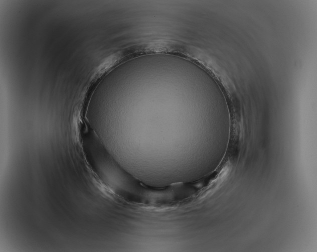 X0000086790393200705111819