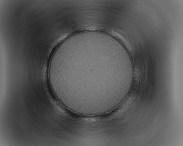 X0000086790394200705111819