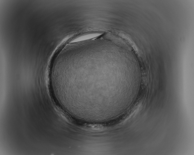 X0000086790395200705111819