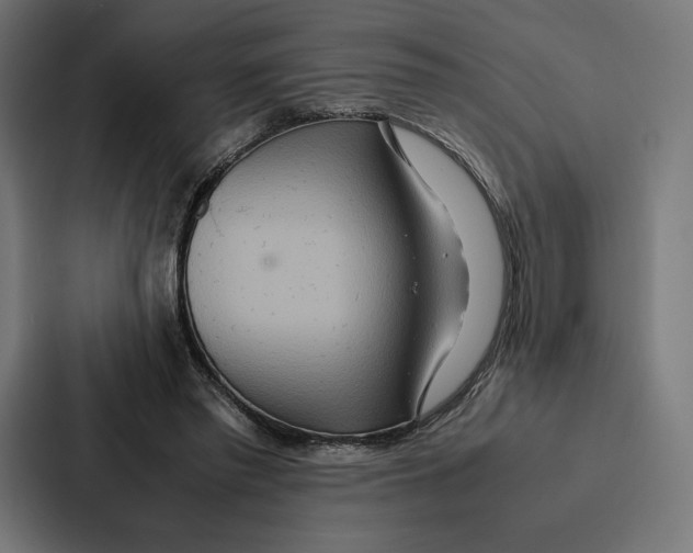 X0000086790397200705111819