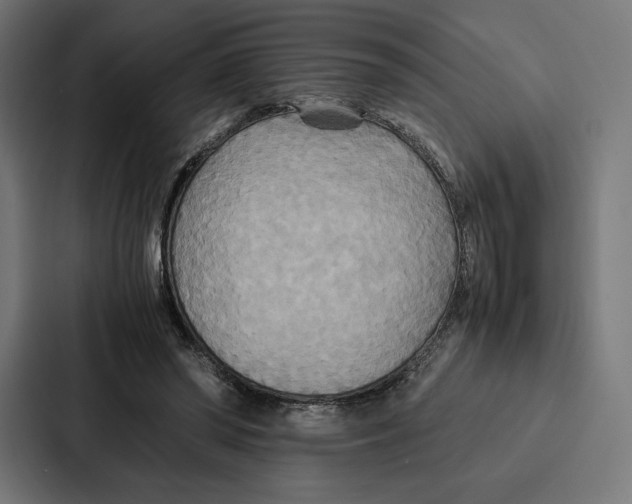 X0000086790398200705111819