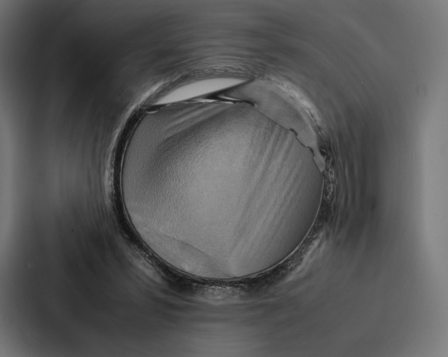 X0000086790399200705111819