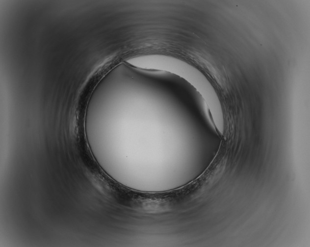 X0000086790400200705111819