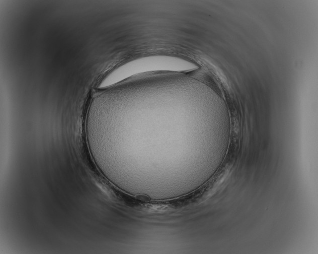 X0000086790401200705111819