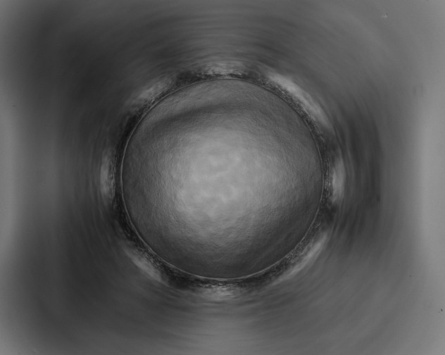 X0000086790402200705111819