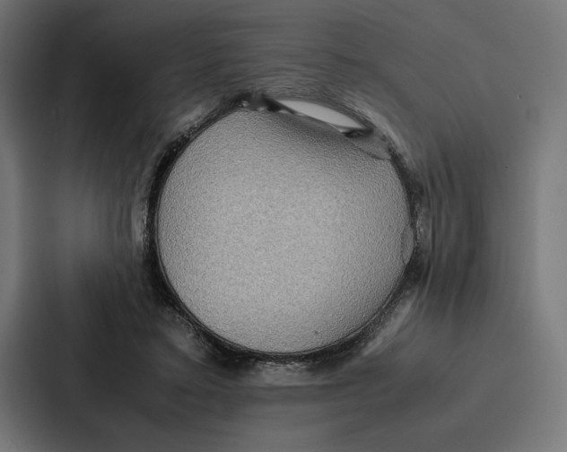 X0000086790403200705111819