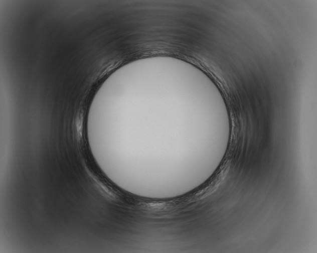 X0000086790406200705111819