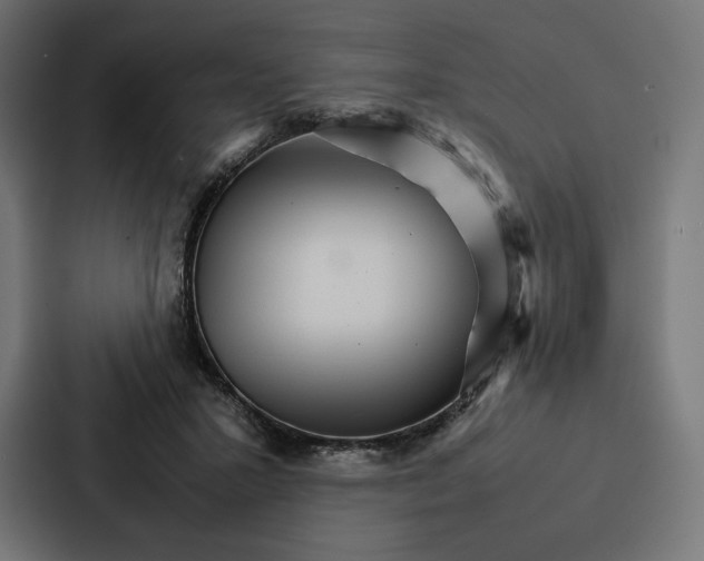 X0000086790407200705111819