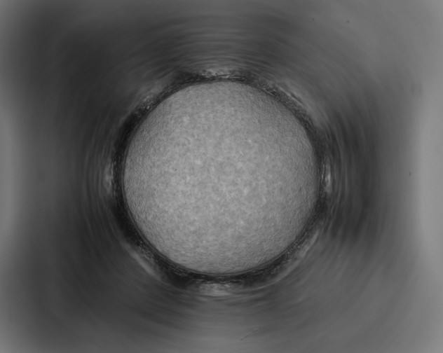 X0000086790408200705111819