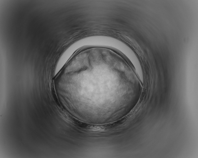 X0000086790409200705111819